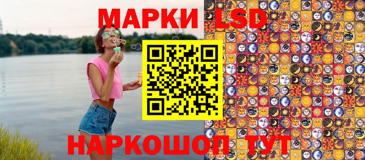 МЕФ Волгодонск