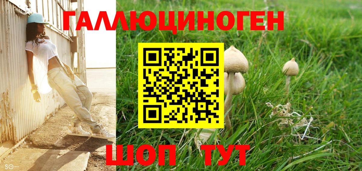 Волгодонск  Псилоцибиновые грибы MAGIC MUSHROOMS  Вход с VPN  Галлюциногенные грибы Magic Shrooms 